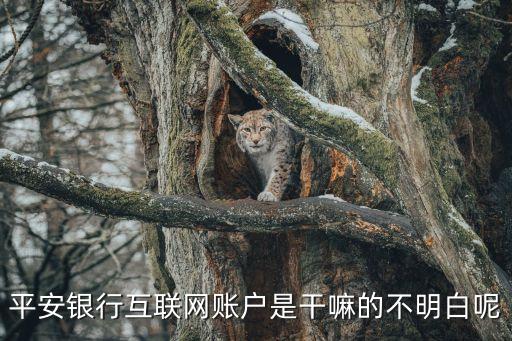 平安銀行互聯(lián)網賬戶是干嘛的不明白呢