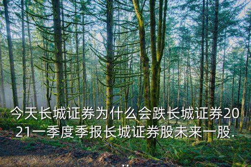 今天長(zhǎng)城證券為什么會(huì)跌長(zhǎng)城證券2021一季度季報(bào)長(zhǎng)城證券股未來(lái)一股...