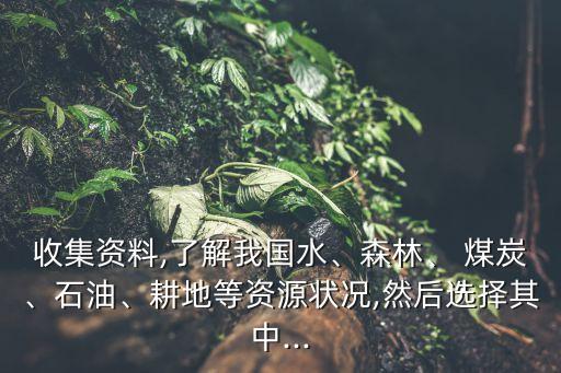 收集資料,了解我國水、森林、 煤炭、石油、耕地等資源狀況,然后選擇其中...
