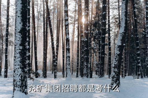 兗礦集團招聘都是考什么