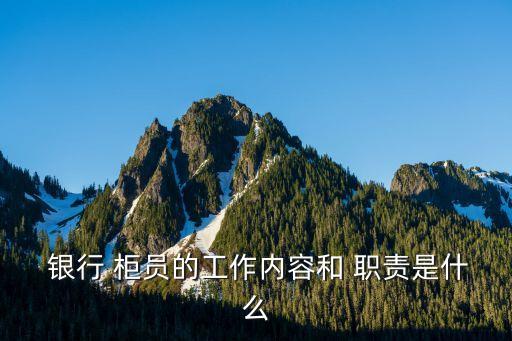 銀行綜合柜員的職責范圍,銀行個人客戶經(jīng)理職責范圍