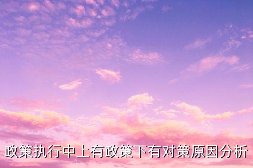 政策執(zhí)行中上有政策下有對(duì)策原因分析