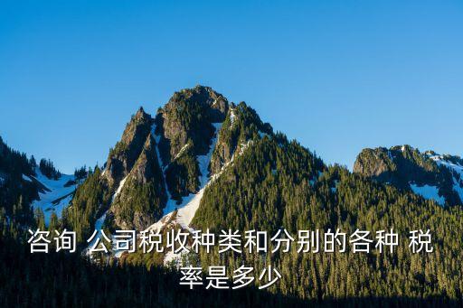咨詢 公司稅收種類(lèi)和分別的各種 稅率是多少