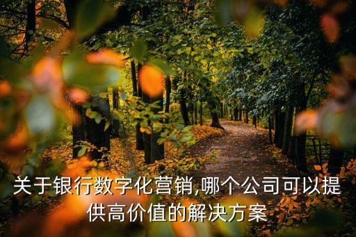 關于銀行數(shù)字化營銷,哪個公司可以提供高價值的解決方案