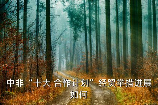 中非“十大 合作計劃”經貿舉措進展如何