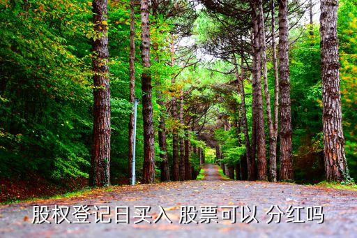 買(mǎi)股票能分紅嗎,散戶(hù)買(mǎi)股票怎么分紅