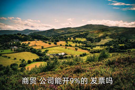 商貿(mào) 公司能開(kāi)9%的 發(fā)票嗎