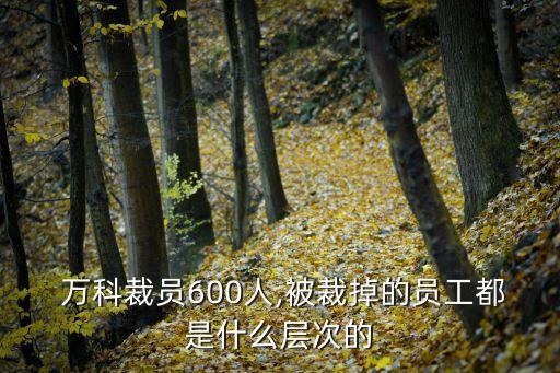  萬(wàn)科裁員600人,被裁掉的員工都是什么層次的