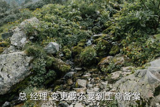 總 經理 變更要不要到工商備案