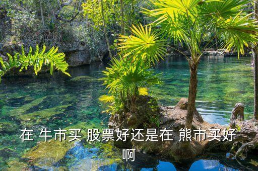 在 牛市買(mǎi) 股票好還是在 熊市買(mǎi)好啊