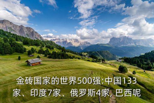 金磚國家的世界500強:中國133家、印度7家、俄羅斯4家, 巴西呢