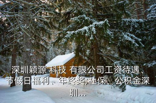 深圳穎源 科技 有限公司工資待遇、節(jié)假日福利、年終獎;社保、公積金深圳...