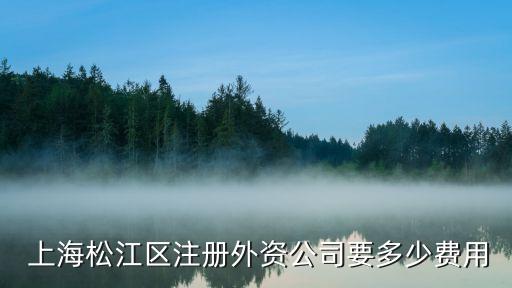  上海松江區(qū)注冊(cè)外資公司要多少費(fèi)用