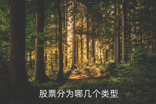 股票的組成,股票價(jià)值由什么組成