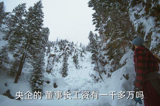 上市公司董事長(zhǎng)年薪