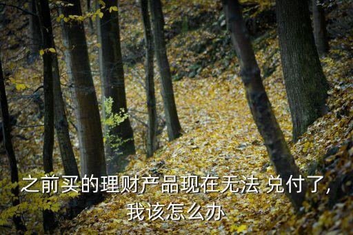 之前買(mǎi)的理財(cái)產(chǎn)品現(xiàn)在無(wú)法 兌付了,我該怎么辦