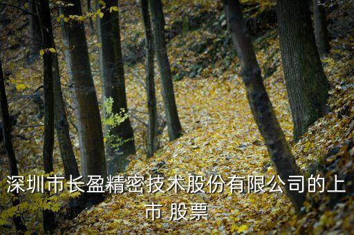 深圳市長盈精密技術(shù)股份有限公司的上市 股票