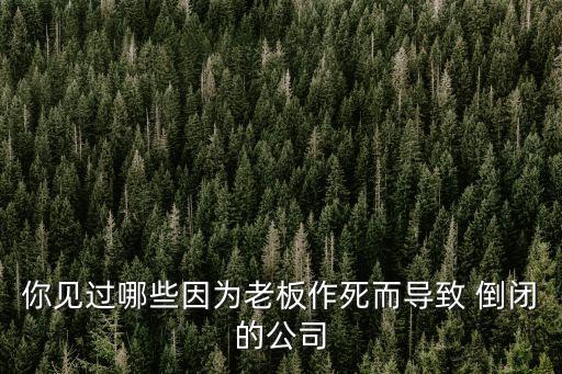 你見過(guò)哪些因?yàn)槔习遄魉蓝鴮?dǎo)致 倒閉的公司