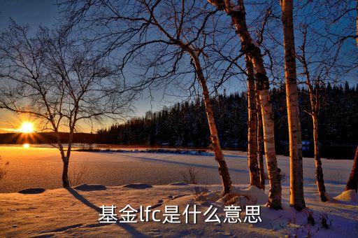  基金lfc是什么意思