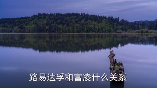 路易達(dá)孚和富凌什么關(guān)系
