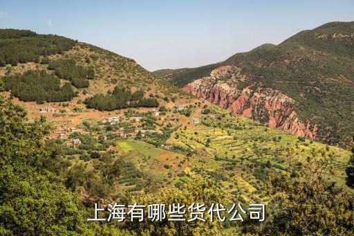 大連天通遠(yuǎn)洋國(guó)際物流有限公司,大連中海遠(yuǎn)洋國(guó)際物流有限公司