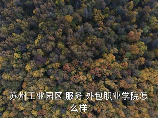 中國服務(wù)外包第一校,中國軟件服務(wù)外包