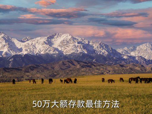 50萬(wàn)大額存款最佳方法