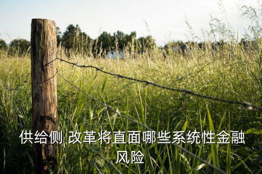  供給側 改革將直面哪些系統(tǒng)性金融風險