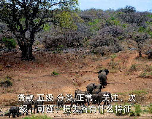  貸款 五級(jí) 分類,正常、關(guān)注、次級(jí)、可疑、損失各有什么特征