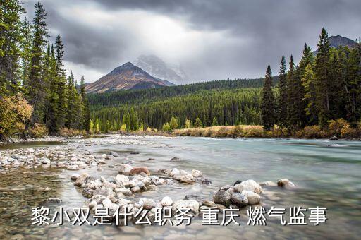 重慶燃?xì)饧瘓F(tuán)董事長(zhǎng)