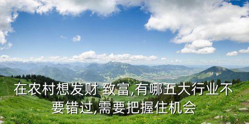 在農村想發(fā)財 致富,有哪五大行業(yè)不要錯過,需要把握住機會