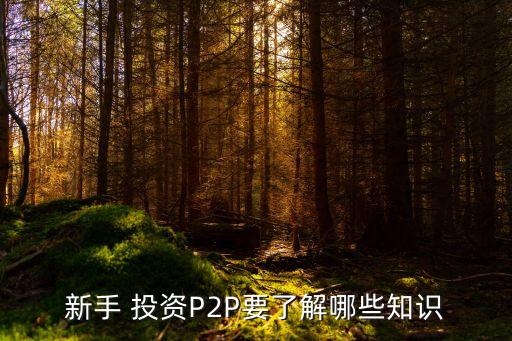 p2p網(wǎng)貸投資時(shí)需要注意哪些問(wèn)題
