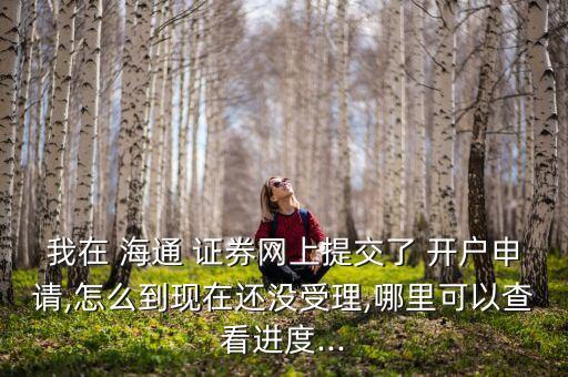 我在 海通 證券網(wǎng)上提交了 開(kāi)戶申請(qǐng),怎么到現(xiàn)在還沒(méi)受理,哪里可以查看進(jìn)度...
