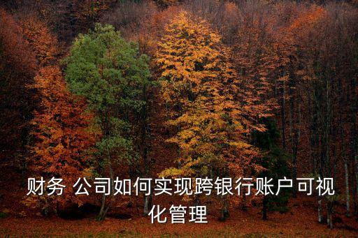  財(cái)務(wù) 公司如何實(shí)現(xiàn)跨銀行賬戶(hù)可視化管理