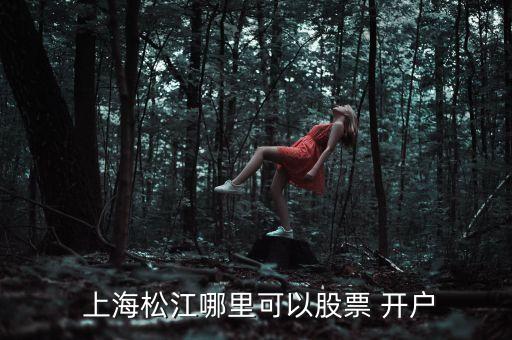  上海松江哪里可以股票 開(kāi)戶