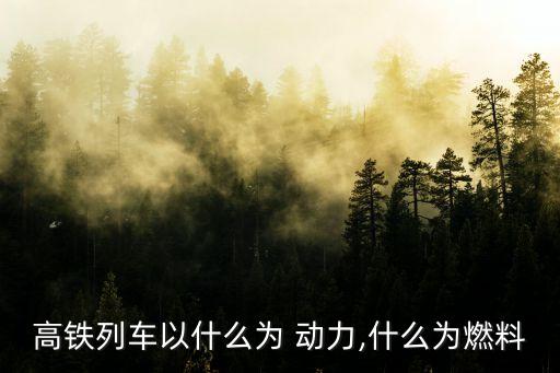 中國(guó)動(dòng)車(chē)動(dòng)力,動(dòng)車(chē)的動(dòng)力來(lái)源是什么