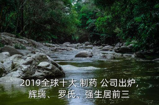 2019全球十大 制藥 公司出爐,輝瑞、 羅氏、強(qiáng)生居前三