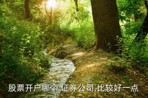 股票開(kāi)戶哪個(gè) 證券公司,比較好一點(diǎn)