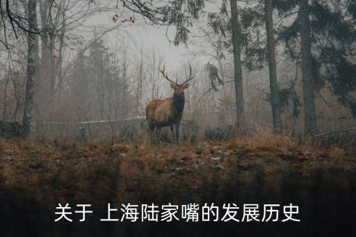 關(guān)于 上海陸家嘴的發(fā)展歷史