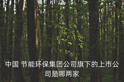 中國 節(jié)能環(huán)保集團公司旗下的上市公司是哪兩家
