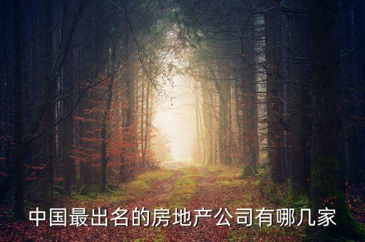 中國(guó)最出名的房地產(chǎn)公司有哪幾家