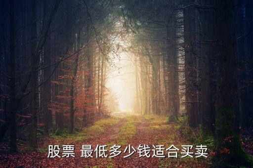  股票 最低多少錢(qián)適合買(mǎi)賣(mài)