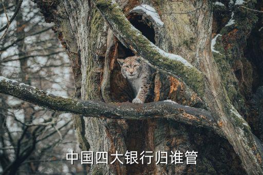 中國銀行業(yè)機構
