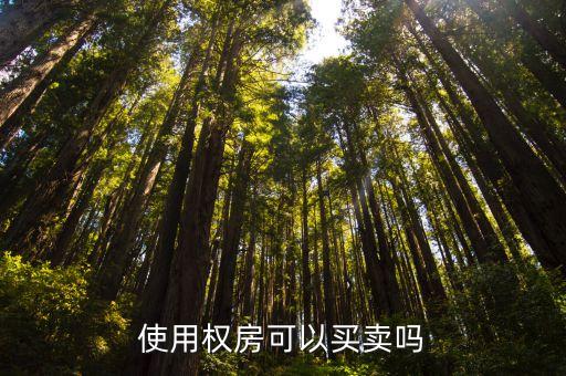 中國產(chǎn)權(quán)報(bào)價(jià)網(wǎng),為什么中國不能永久產(chǎn)權(quán)
