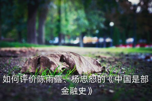 如何評價陳雨露、楊忠恕的《中國是部 金融史》