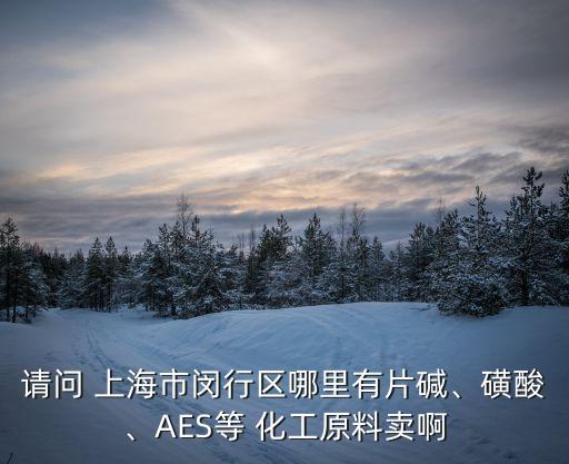 請問 上海市閔行區(qū)哪里有片堿、磺酸、AES等 化工原料賣啊