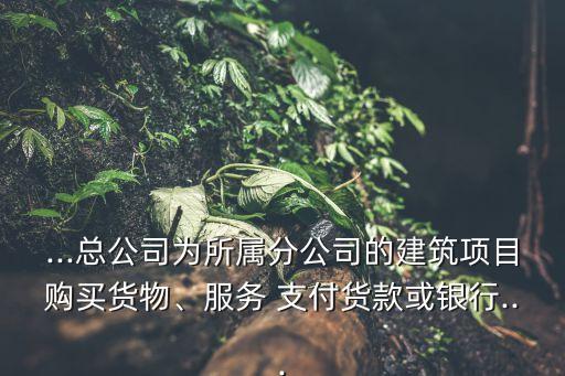 ...總公司為所屬分公司的建筑項(xiàng)目購買貨物、服務(wù) 支付貨款或銀行...