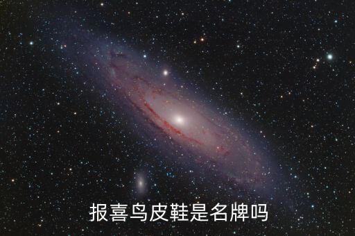 上海報(bào)喜鳥服飾怎么樣,山東報(bào)喜鳥服飾有限公司怎么樣