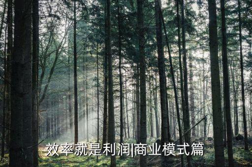 效率就是利潤|商業(yè)模式篇