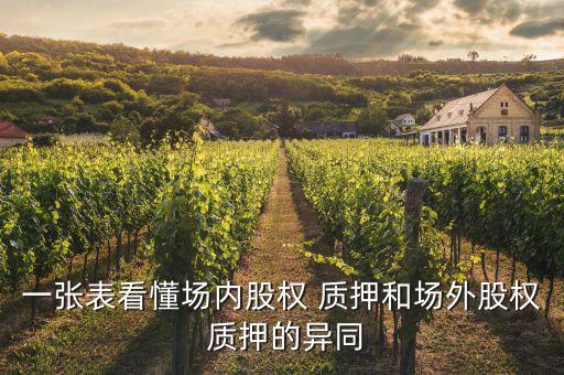 遠程股票質(zhì)押有哪些,股票質(zhì)押需要注意哪些